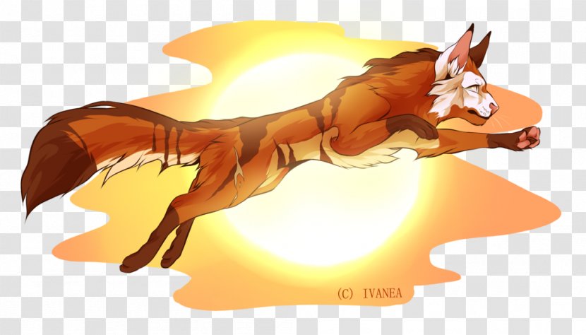 Cartoon Desktop Wallpaper Computer Carnivores - Orange - LIGHT SUN Transparent PNG