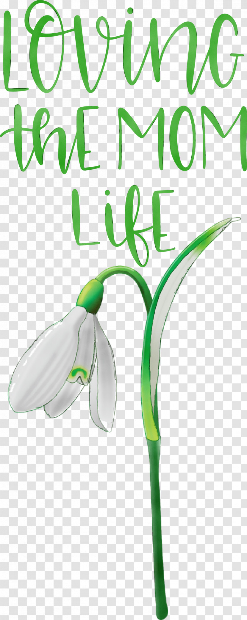 Font Green Flower Leaf Meter Transparent PNG