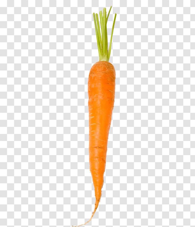Baby Carrot White - Vegetable Transparent PNG
