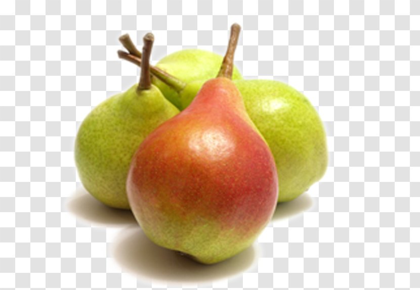 European Pear Fruit Auglis - Presentation Transparent PNG