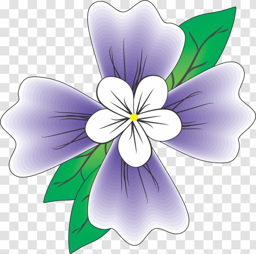 Black And White Flower - Wildflower - Crocus Violet Family Transparent PNG