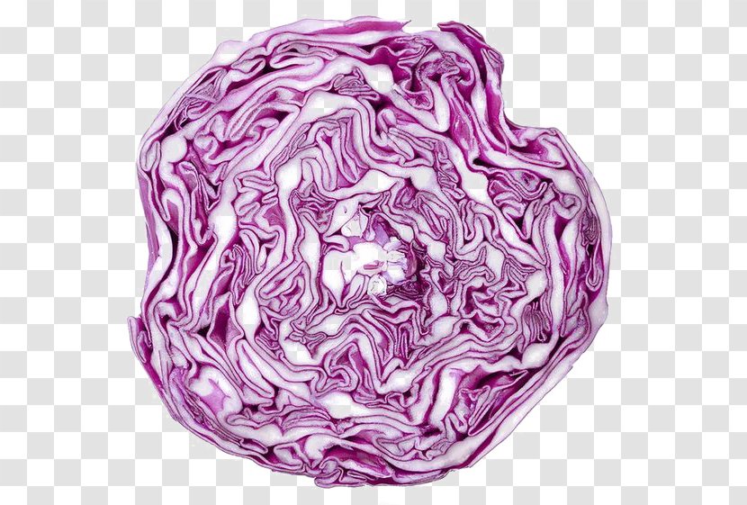 Red Cabbage Cauliflower Vegetable Drawing - Lettuce - Purple Transparent PNG