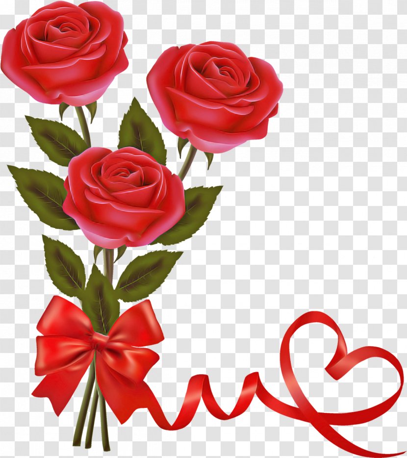 Garden Roses - Red - Floribunda Rose Family Transparent PNG