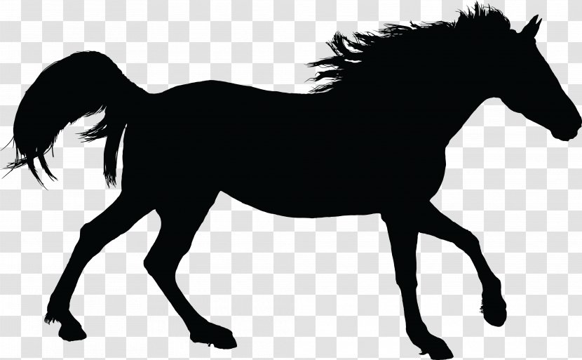 Mustang American Paint Horse Arabian Stallion Clip Art - Cowboy Racing Transparent PNG