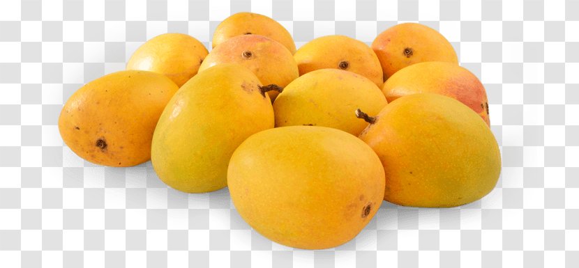 Ratnagiri International Mango Festival Konkan Alphonso Organic Food - Mangifera Indica - Passion Fruit Transparent PNG