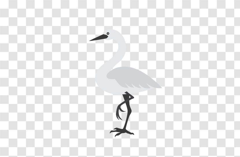 Bird Crane Duck Goose Beak - Cygnini Transparent PNG