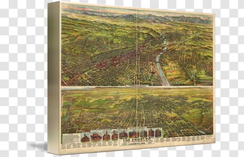 Los Angeles Library Of Congress Map Poster - Bird Seye View - Birds Eye Burger Transparent PNG