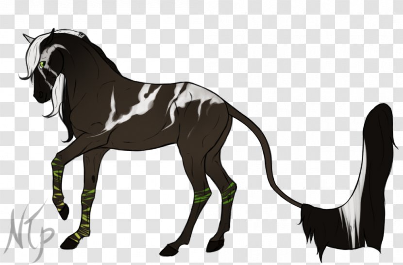 Mustang Mane Stallion Pony Foal - Neck Transparent PNG