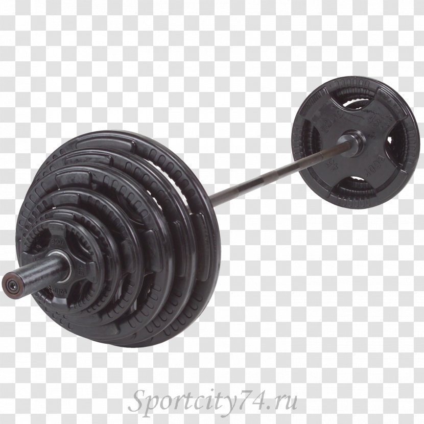 Weight Plate Bench Training Human Body - Chrome Plating - Barbell Transparent PNG