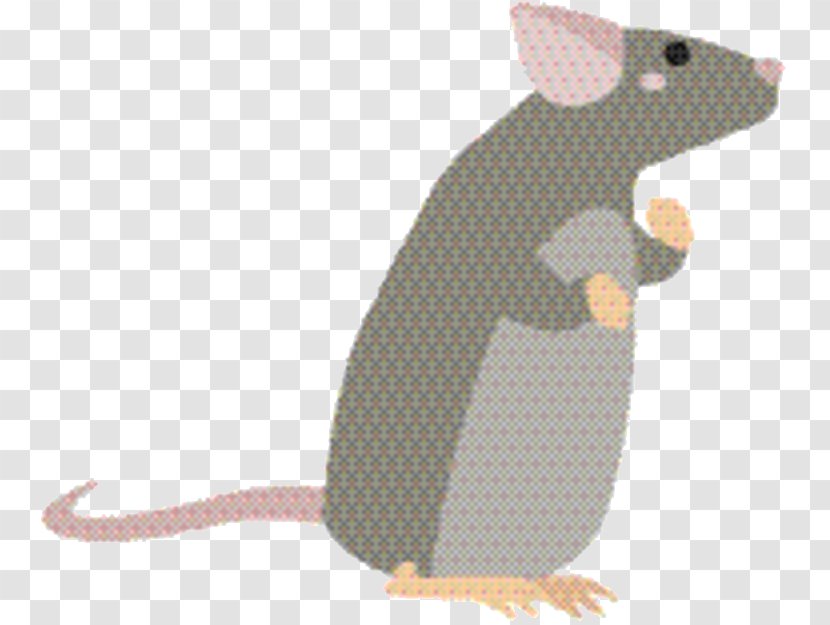 Cartoon Mouse - Pest - Tail Animal Figure Transparent PNG
