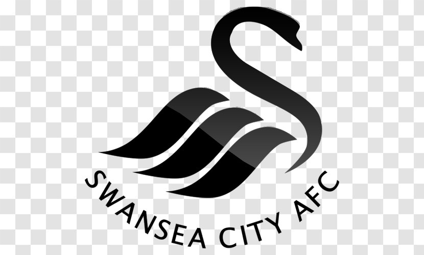 Swansea City A.F.C. Under-23s Derby County F.C. Premier League Manchester - Logo Transparent PNG