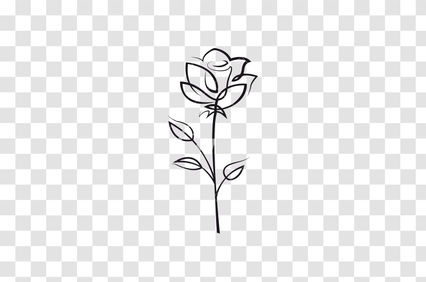 Rose Drawing Flower Clip Art - Royaltyfree Transparent PNG