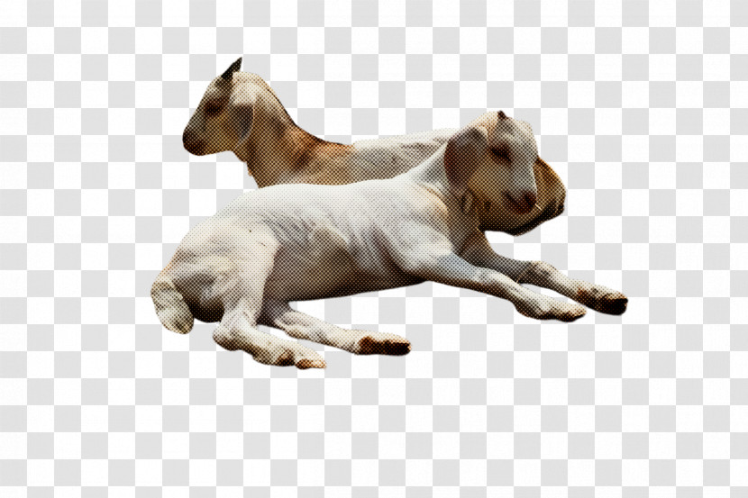 Animal Figure Horse Transparent PNG