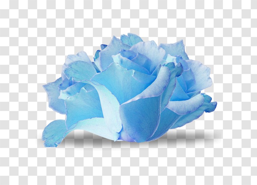 Blue Rose Flower Paper Transparent PNG