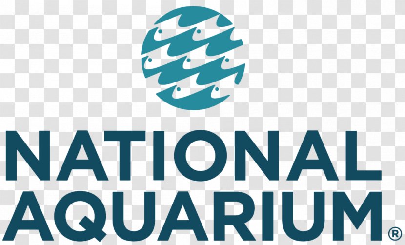 National Aquarium Academy Of Health & Business Pier V Parking East Pratt Street Public - Tourist Attraction - Appliance Energy Conservation Act Transparent PNG