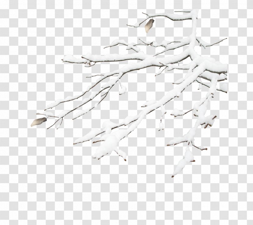 White Pattern - Monochrome - Snow Branch Decoration Transparent PNG