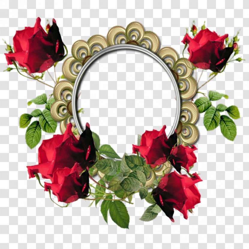 Flower Picture Frame Download - Photography - Red Photos Transparent PNG
