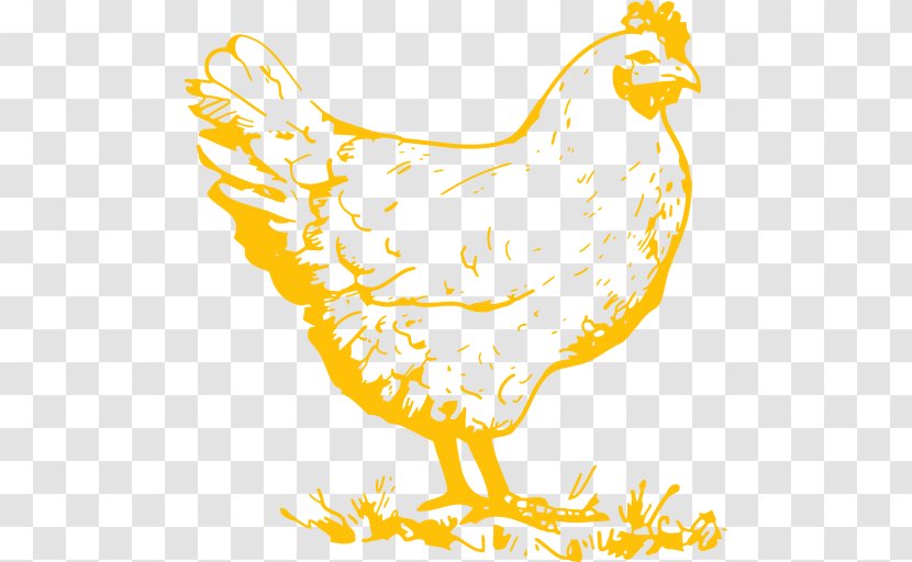 Cochin Chicken Plymouth Rock Clip Art As Food Illustration - Egg Transparent PNG