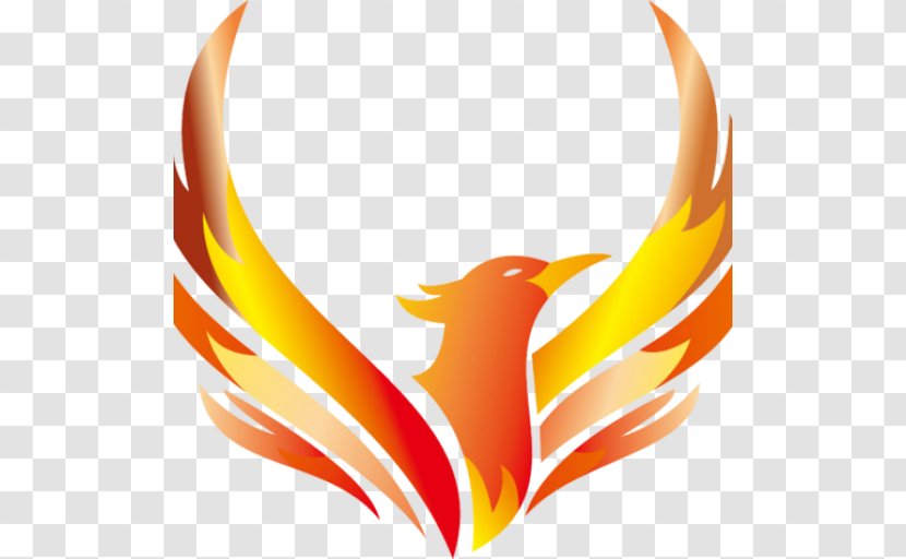 Logo Phoenix Clip Art - Vertebrate Transparent PNG