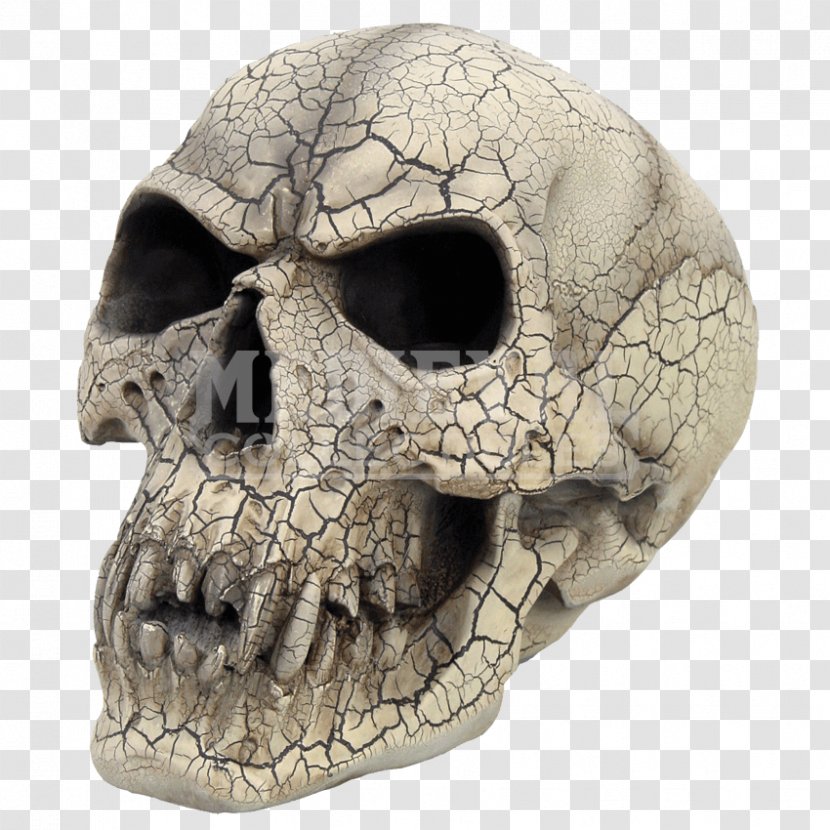 Skull Vampire Human Skeleton Gothic Fashion Head - Bone Transparent PNG