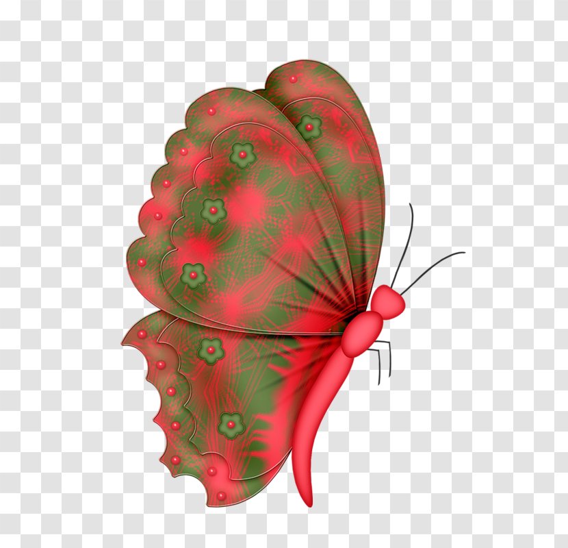 Christmas Decoration Drawing - Glasswing Butterfly - Anthurium Transparent PNG