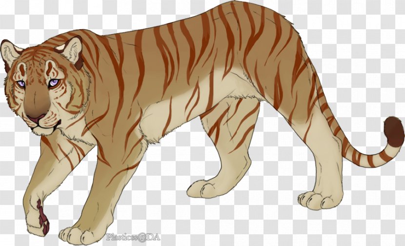 Tiger Lion Cat Fauna Clip Art - Animal Transparent PNG