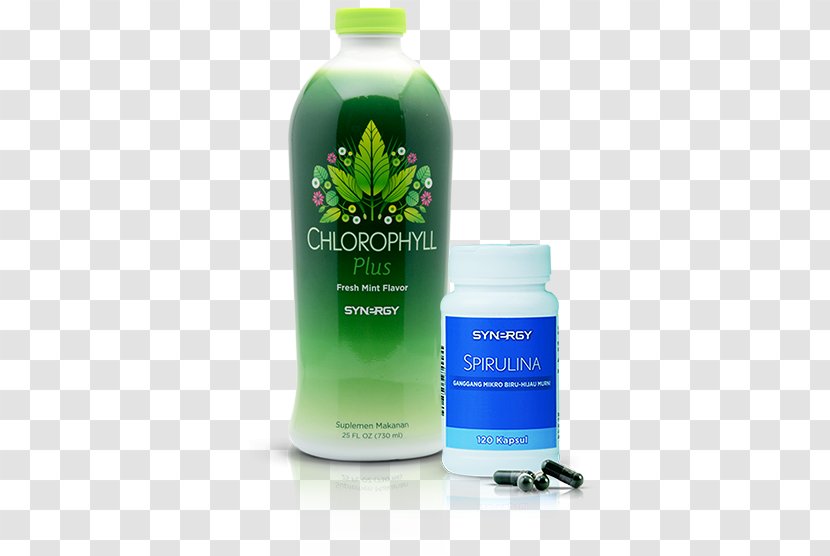 Detoxification Dietary Supplement Chlorophyll Nutrition Health - Liquid - Kacang Hijau Transparent PNG