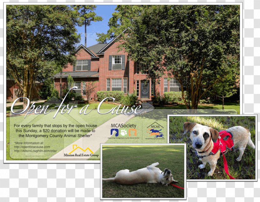 Dog Breed Backyard Property Advertising - Plantation Transparent PNG