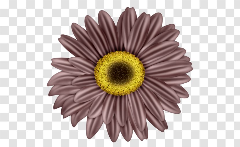 Drawing Gfycat - Cut Flowers - Flower Transparent PNG