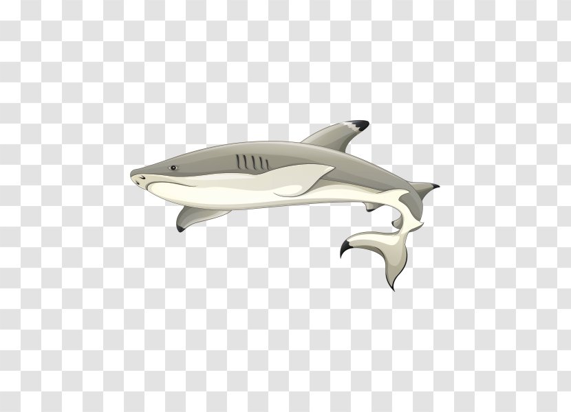 Blacktip Reef Shark Caribbean Drawing - Dolphin Transparent PNG