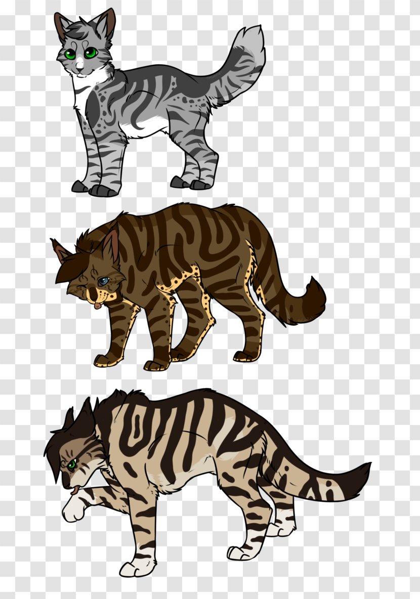 Wildcat Tiger Art Warriors - Fauna - Cat Transparent PNG