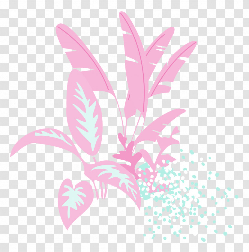 Plant Transparent PNG