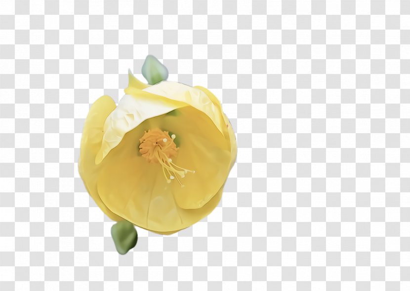 Yellow Plant Food Flower Petal - Ingredient Cuisine Transparent PNG