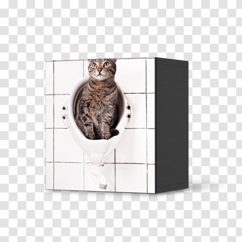 Armoires & Wardrobes IKEA Door Furniture Cat Litter Trays - Ikea Transparent PNG