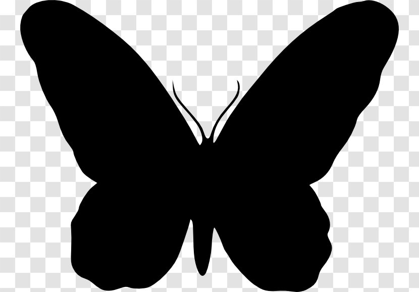 Vector Graphics Clip Art Silhouette Cdr - Pollinator - Butterfly Silohette Transparent PNG