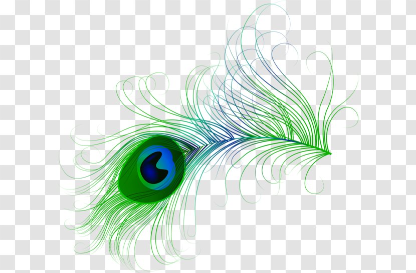 Feather Peafowl Bird Clip Art - Hand-painted Peacock Feathers Transparent PNG