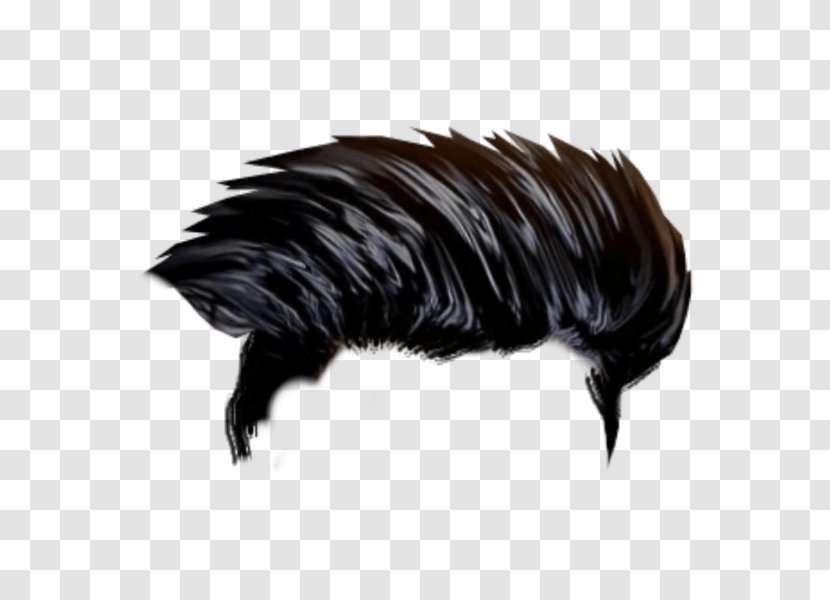 Hairstyle Picsart - Editing - Black Hair Feather Transparent PNG