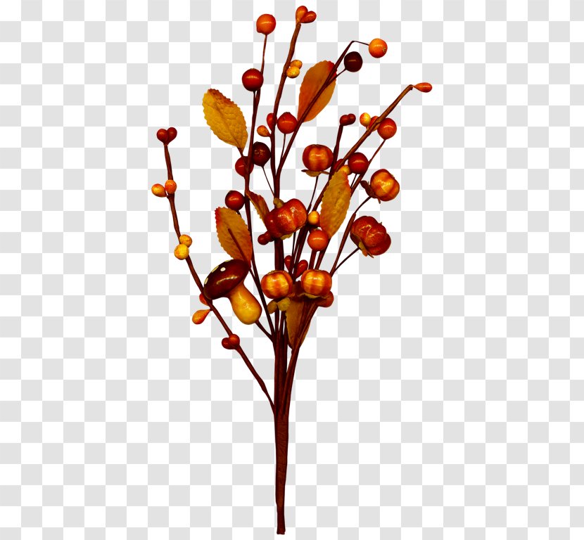 Twig Cut Flowers Floral Design Plant Stem - Flowering Transparent PNG