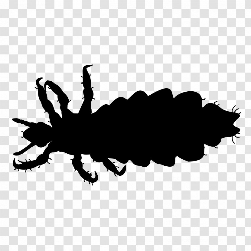 Crab Louse Insect Body Infestation - Skin - Silhouette Transparent PNG