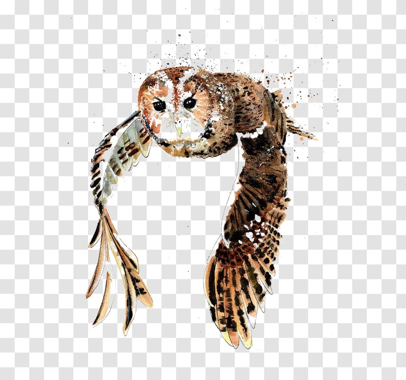 Tawny Owl Bird Drawing Watercolor Painting - Neck - Flying Transparent PNG