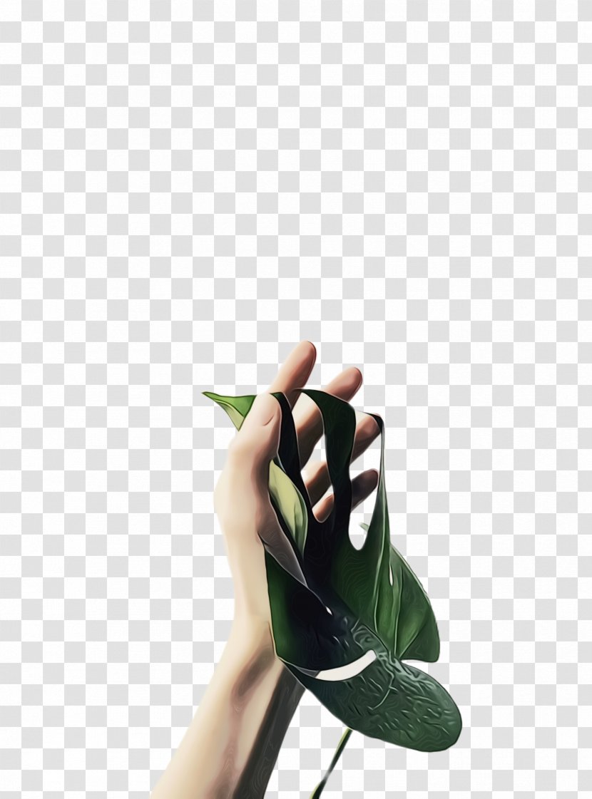 Green Leaf Background - Highheeled Shoe - Outdoor Thumb Transparent PNG