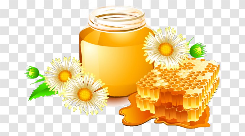 Savior Of The Honey Feast Day Atherosclerosis Neuritis Therapy Transparent PNG