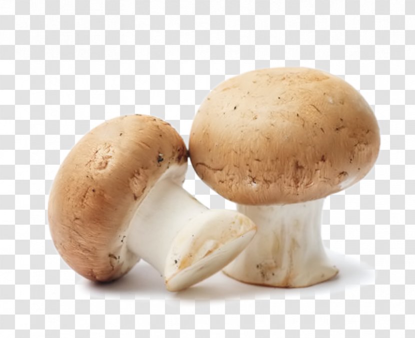 Common Mushroom Edible Food Fungus Transparent PNG