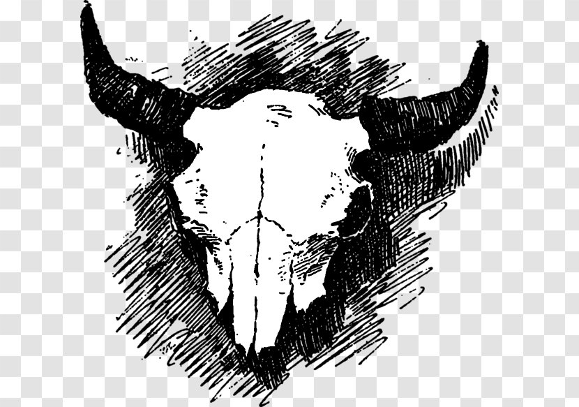 Skull Cattle Visual Arts - Mammal Transparent PNG