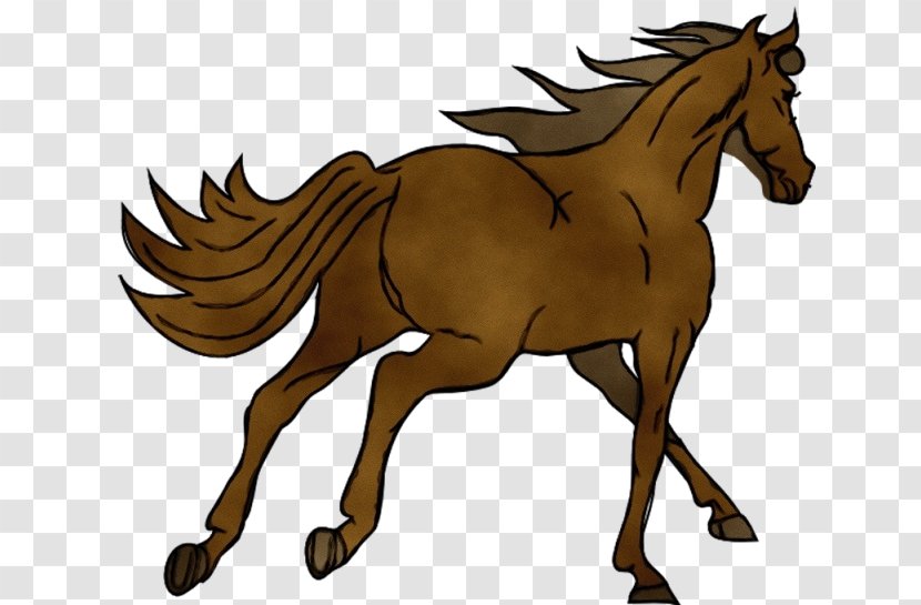 Horse Sorrel Animal Figure Mare Line Art - Paint - Mustang Liver Transparent PNG