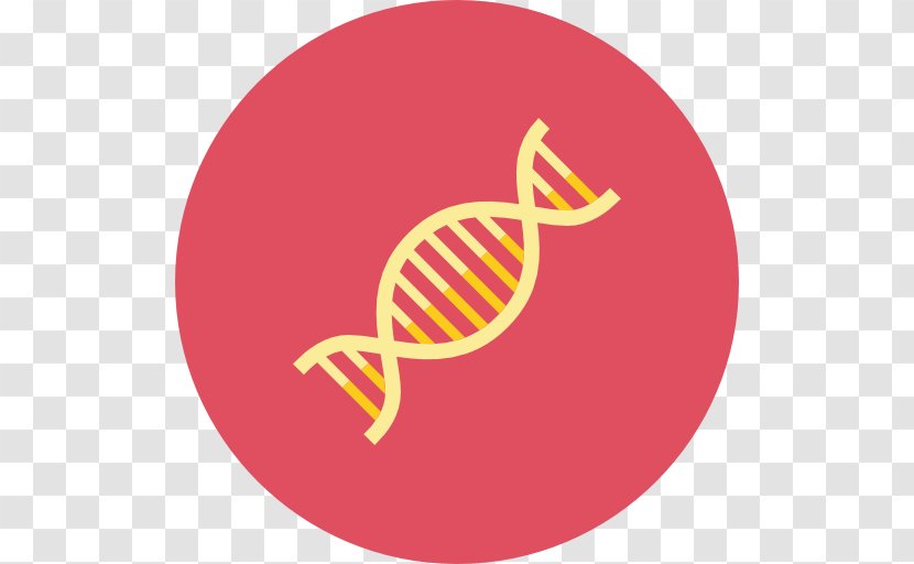 DNA Vector - Magenta - Biology Transparent PNG