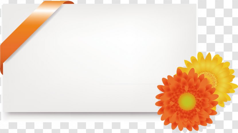 Flower Orange Transvaal Daisy Euclidean Vector - Rectangle - Text Box Transparent PNG