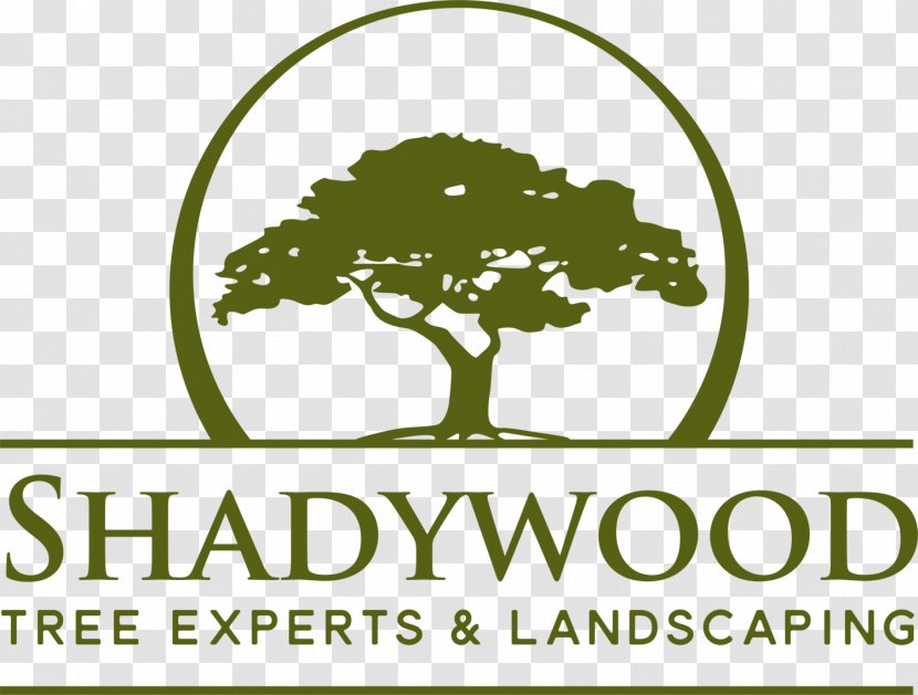Shadywood Tree Experts Inc. Logo Transport - Hopkins Transparent PNG