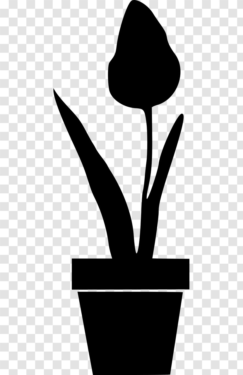 Flowerpot Silhouette Clip Art - Artwork - Flower Transparent PNG