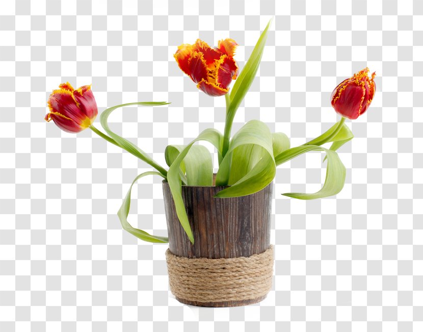 Photography Flower Clip Art - Vase - Pastoral Picture Wind Transparent PNG